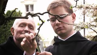 StPeter Imageclip EN