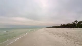 Robb’s Tuesday Morning “First Look” at the Beach at Delnor-Wiggins in North Naples, FL (01/16/24)