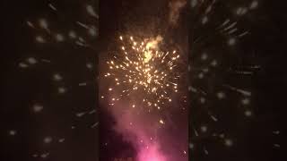 Funny Party Fireworks! #shorts