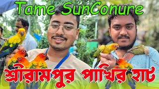 পশ্চিমবঙ্গের সেরা পশু পাখির হাট শ্রীরামপুর।Recent Bird Price Update।Tame Sunconure,Pine apple Conure