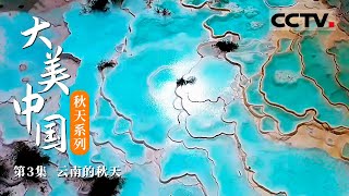 《大美中国·秋天系列》第3集 一眼爱上香格里拉的秋天 这个季节的白水台美到让人窒息 仿佛瑶池在人间的样子【CCTV纪录】