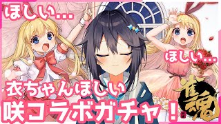 【雀魂】咲コラボきたあああ！衣ちゃんお迎えしたいんじゃぁ～！【にじさんじ／空星きらめ】