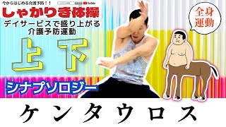 ケンタウロス【上下シナプソロジー】寒い冬は全身運動で身体と脳を温めよう！コスパ最強\u0026楽しんだもの勝ち