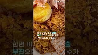 2년 전 문 닫고 한국 철수한 '파파이스', 강남역점으로 돌아온다😋