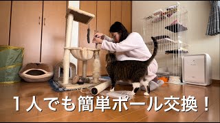 キャットタワーのポール交換！簡単すぎ！〔猫いる１８〕