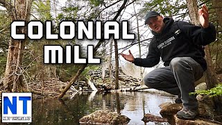 Colonial mill site flooding out from a beaver dam in NH