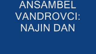 ANSAMBEL VANDROVCI: NAJIN DAN.wmv