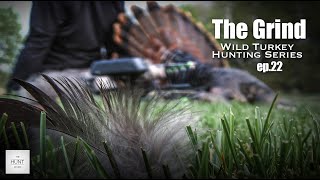 The Grind ep.22 - Ole Limpy - Minnesota Archery Turkey Hunt in a Sod Field.