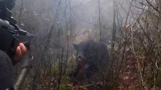 VADO SUI CANI A FERMO E IL CINGHIALE MI CARICA|caccia al cinghiale|WILDBOAR ATTACK|chasse sanglier