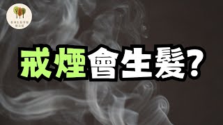 【吸煙脫髮】戒煙會生髮?︱尼古丁和焦油的角色︱香港生髮育髮關注組︱中文字幕