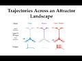 Dynamical Systems in Neuroscience 10: Mac Shine on thalamo-cortical circuits