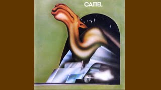 Camel - Curiosity