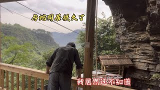 家里来了不速之客，我和小白都被咬了，山居生活要和自然和谐相处【乡野志刚】