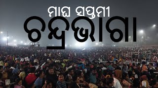 ମାଘ ସପ୍ତମୀ ଚନ୍ଦ୍ରଭାଗା ବୁଡ | Magha Saptami Chandrabhaga | #trending #viralvideo #puri | @JustTravelHD