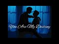 You Are My Destiny - Fanfic Yizhan