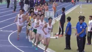 【頑張れ中大】日体大記録会5000ｍ16組（最終組）竹内・OB多田、ｴﾘﾄﾘｱ代表選考会　2016.5.15