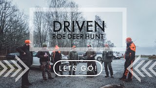 Driven roe deer hunt in Sweden (Turn on English subtitles!)