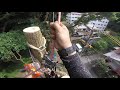 felling tree 5 5 kageyama tree service vol. 16 arborist 空師 ツリークライミング