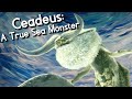 What Makes Ceadeus So Compelling?