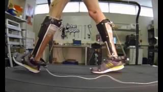 An unpowered ankle exoskeleton that improves energy economy