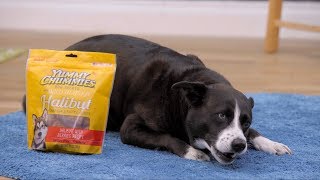 Yummy Chummies Dog Treats | Chewy