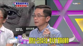 麗文正經話_20140818_283-1(TVBS DMDD)