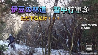 伊豆の林道　雪中行軍パート③ 雪の急坂をひたすら下り、泣きながら下っセクションのパートです。