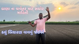 ધાણા ના વાવેતર માટે સચોટ માહિતી કેવી રીતે અને કયું બિયારણ વાવવું જોઈએ