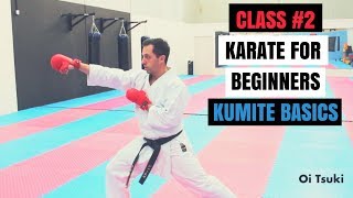 Martial Arts for Beginners – Lesson 2 / Karate Cobra Kai - Fighting Techniques