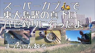 スーパーカブ🛵で東大島駅の真下にハゼ釣りに行ったよ🎣