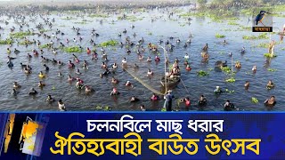 চলনবিলে মাছ ধরার ঐতিহ্যবাহী বাউত উৎসব | Maasranga News