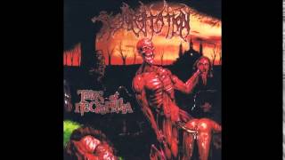 Regurgitation - Cadaveric Impregnation (HQ)