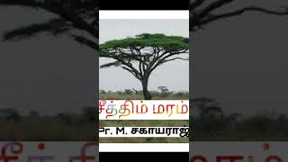 சீத்திம் மரம் part -2| Pr. M. Sagayaraj #pr #sagayaraj #சீத்திம் #fastingprayer #tamil