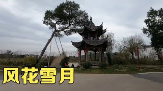 结伴自驾游，和大姐一起风花雪月看风景，有说有笑很快乐【小哥在旅途】