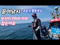 [쎈프로tv] 문어낚시가서  5마리이하를 잡는이유!! 초급자 필독영상