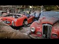 We Found RARE Classic Cars ABANDONED in a Barn