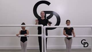 Beginner Ballet Class Exercises-SAMPLE