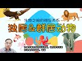 【独居动物&群居动物】|【生物之间的相互关系 PART 1/2】| 6年级 | TSLAU