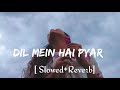 dil mein hai pyar tera hoton pe gitwa slowed reverb alka yagnik the hero sunny deol lofi