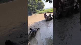 দেখেন কিভাবে বিটলামি করে দেখেন বন্ধুরা  🤣🤣 #funny #video #comedyvideos #funnyclips #entertainment