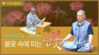 불꽃속에피는연꽃 10월 3일 저녁정진기도 | 스님과 함께하는 좌선명상 | Guided Daily Meditation