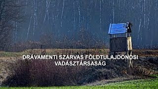 Vadászat a Fekete - víz mellett..