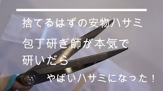 捨てるはずの安物ハサミを包丁研ぎ師が本気で研いだらやばいハサミになった！