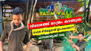 ഇതുപോലെ ഒരു Pets Park നിങ്ങൾ കണ്ടിട്ടുണ്ടാവില്ല 🔥 | Farm Villa Chavakkad | Pets park Chavakkad |