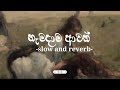 හැමදාම ආවත් slow and reverb trending slowandreverb coversong shanuka_f7n