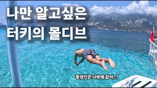 한국인들이 놓친 지중해의 보석같은 섬. 생수같은 200% 맑은 물에서 놀아보았다. 세계여행 - 튀르키예 [2]