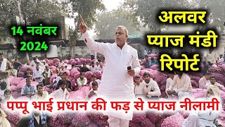 14 नवंबर अलवर प्याज रिपोर्ट | onion report Today Alwar mandi rajasthan