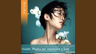 Chamber Concerto in D Major, RV 93: II. Largo