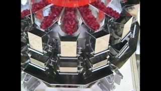 TG250 RC (Novus) VFFS Bagger Packaging Gummies with Yamato Scale