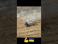 ЗСУ сила 🇺🇦💪 українапонадусе automobile soldier зсу military army війна